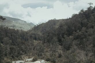 Backpacking Tips