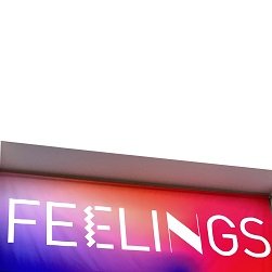 emotional reasoning