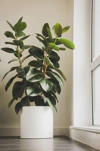 indoor air quality