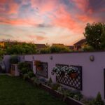 Budget Backyard Transformation