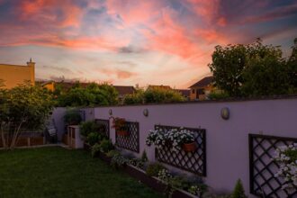 Budget Backyard Transformation
