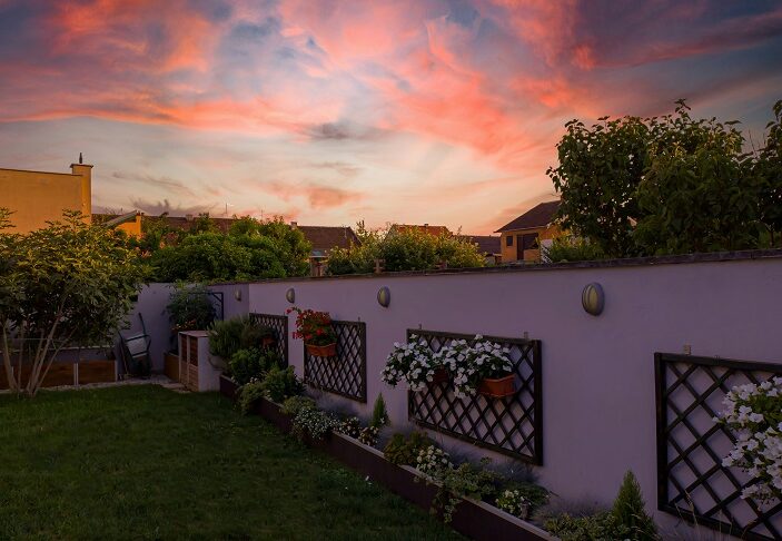 Budget Backyard Transformation