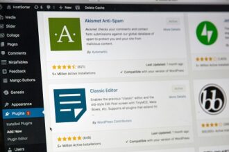 WordPress plugins